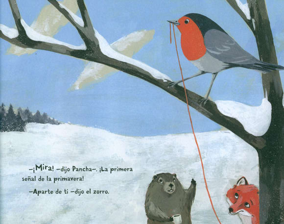 LA MARMOTA PANCHA Y EL ZORRO6