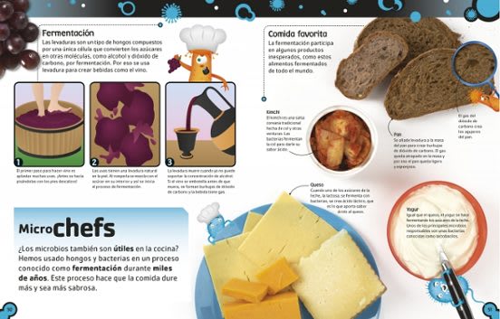 EL LIBRO DE LAS BACTERIAS3