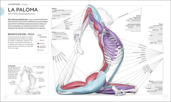 ANATOMIA DEL YOGA: UN ESTUDIO FISIOLÓGICOPOSTURA A POSTURA3
