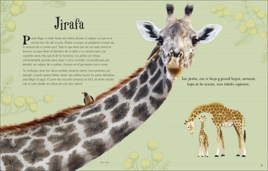 ANTOLOGÍA DE ANIMALES EXTRAORDINARIOS3