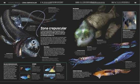 OCÉANOS: EL PLANETA BAJO EL AGUA, COMO NUNCA ANTES LO HABÍAS VISTO2
