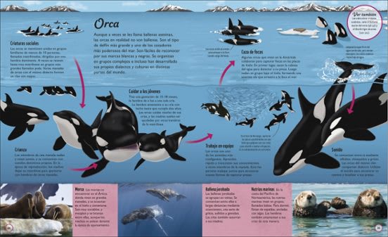LA VIDA DEL AGUA: EL RECURSO NATURAL MÁS IMPORTANTE DE LA TIERRA1