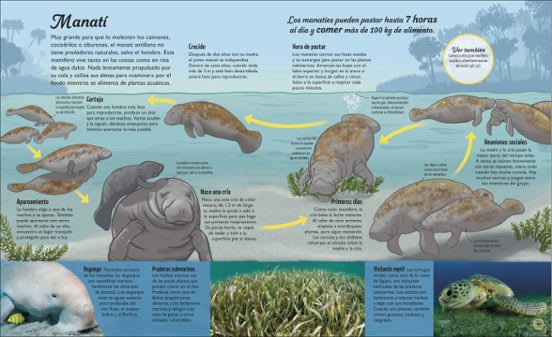 LA VIDA DEL AGUA: EL RECURSO NATURAL MÁS IMPORTANTE DE LA TIERRA2