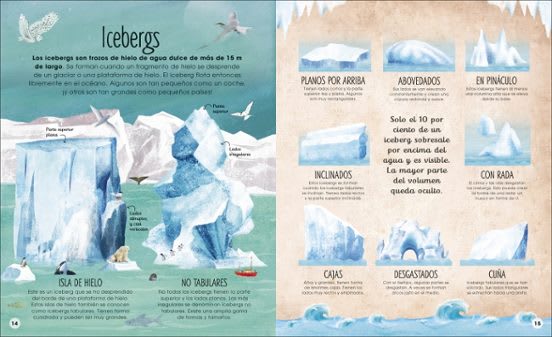 LA VIDA SECRETA DEL HIELO (DK)3