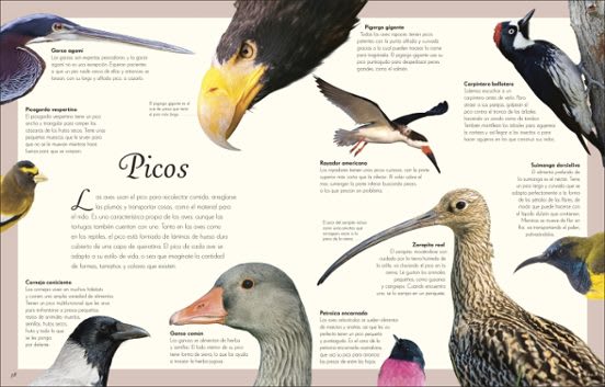 ANTOLOGÍA DE AVES EXTRAORDINARIAS5