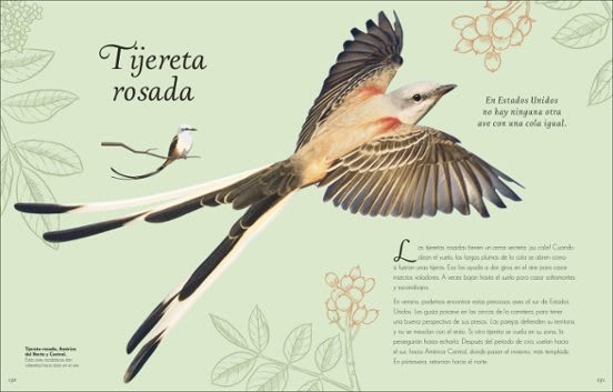 ANTOLOGÍA DE AVES EXTRAORDINARIAS2