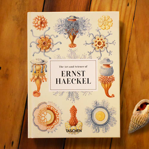 THE ART AND SCIENCE OF ERNST HAECKEL. 40TH ED1
