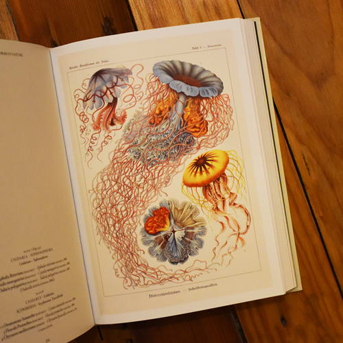 THE ART AND SCIENCE OF ERNST HAECKEL. 40TH ED2