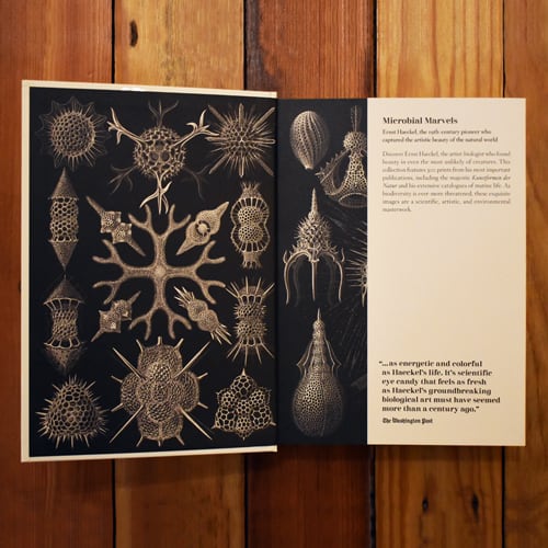 THE ART AND SCIENCE OF ERNST HAECKEL. 40TH ED3