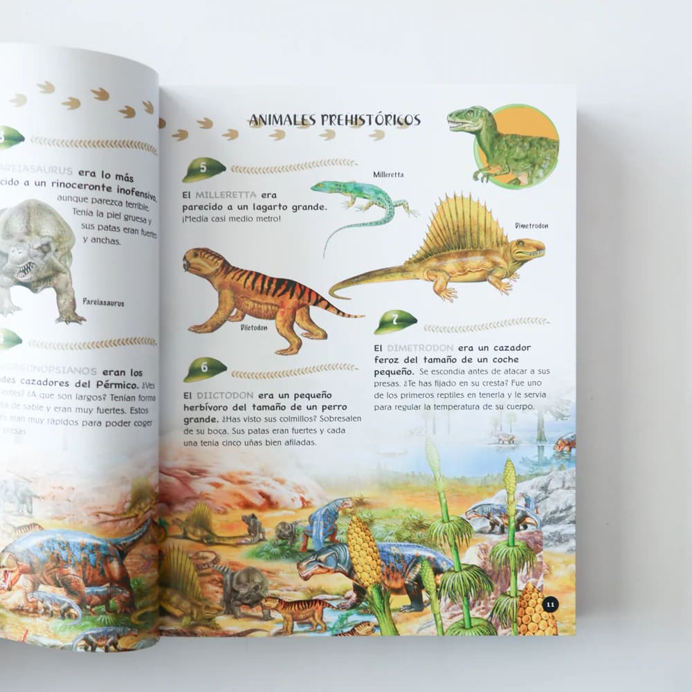 500 PREGUNTAS Y RESPUESTAS: SOBRE LOS ANIMALES3