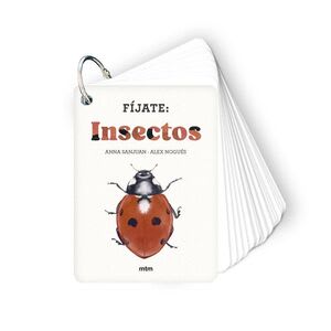 FIJATE: INSECTOS1