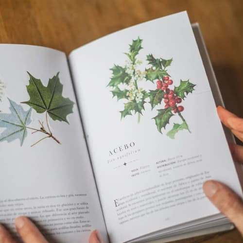 LIBRO DIORAMA ÁRBOLES4