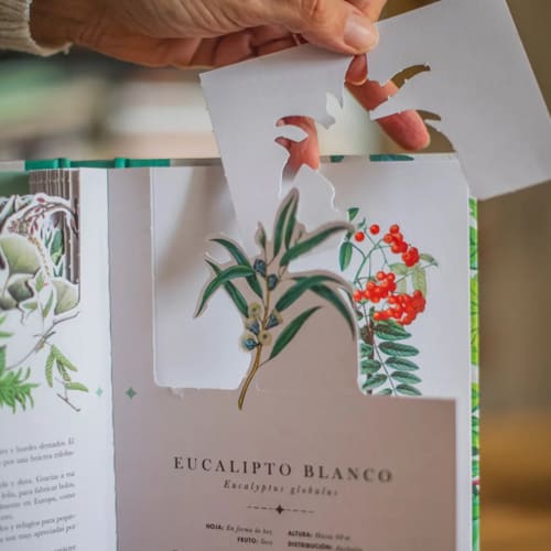 LIBRO DIORAMA ÁRBOLES3