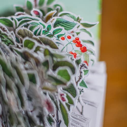 LIBRO DIORAMA ÁRBOLES2