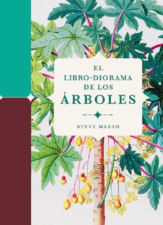 LIBRO DIORAMA ÁRBOLES1