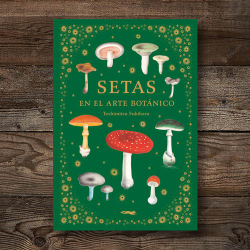 SETAS EN EL ARTE BOTÁNICO1