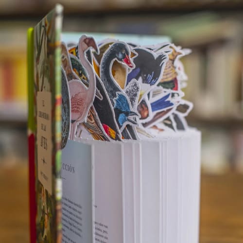 EL LIBRO DIORAMA DE LAS AVES2