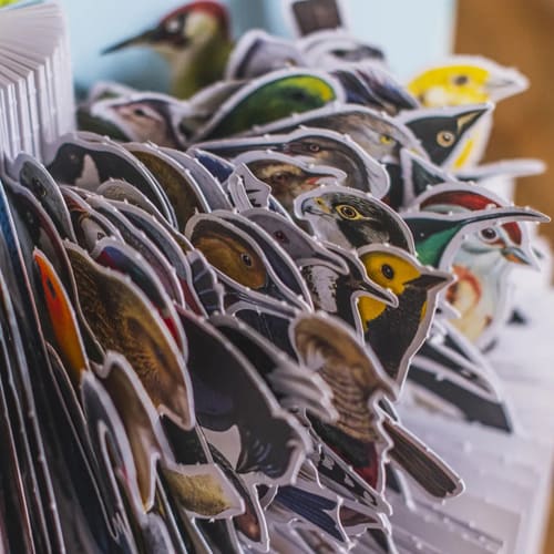EL LIBRO DIORAMA DE LAS AVES4