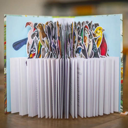 EL LIBRO DIORAMA DE LAS AVES3