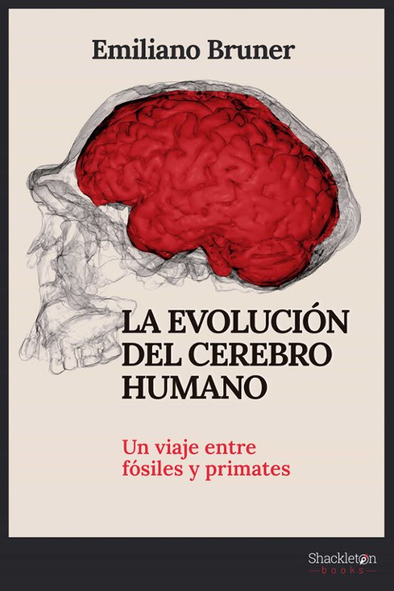 LA EVOLUCIÓN DEL CEREBRO HUMANO. UN VIAJE ENTRE FÓSILES Y PRIMATES1