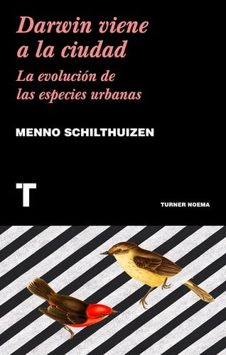 DARWIN VIENE A LA CIUDAD1