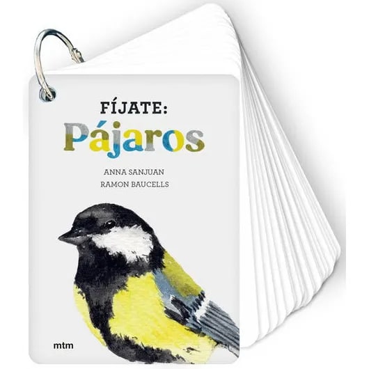 FIJATE: PAJAROS1