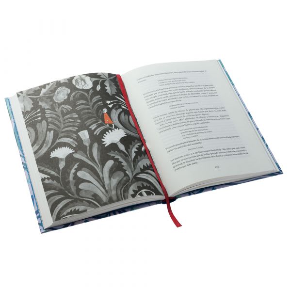 ANA DE LAS TEJAS VERDES (ILUSTRADO)1