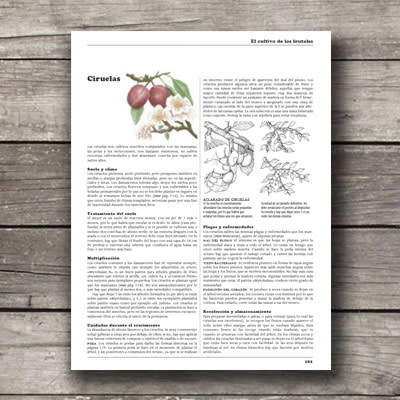 HORTICULTOR AUTOSUFICIENTE Y LA VIDA EN EL CAMPO4