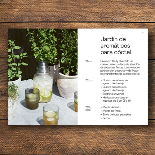 CULTIVO DE HIERBAS AROMÁTICAS. UNA GUÍA BÁSICA PARA PLANTAR Y COSECHAR HIERBAS AROMÁTICAS EN EL ESPACIO QUE TENGAS2