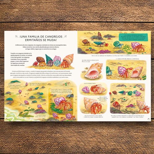 CON CALMA, AQUI Y AHORA: MÁS HISTORIAS DE LA NATURALEZA4