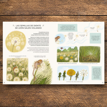 CON CALMA, AQUI Y AHORA: MÁS HISTORIAS DE LA NATURALEZA2