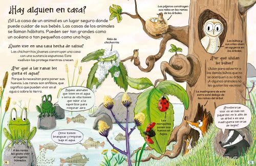 PREGUNTAS Y RESPUESTAS CURIOSAS SOBRE... ANIMALES.3