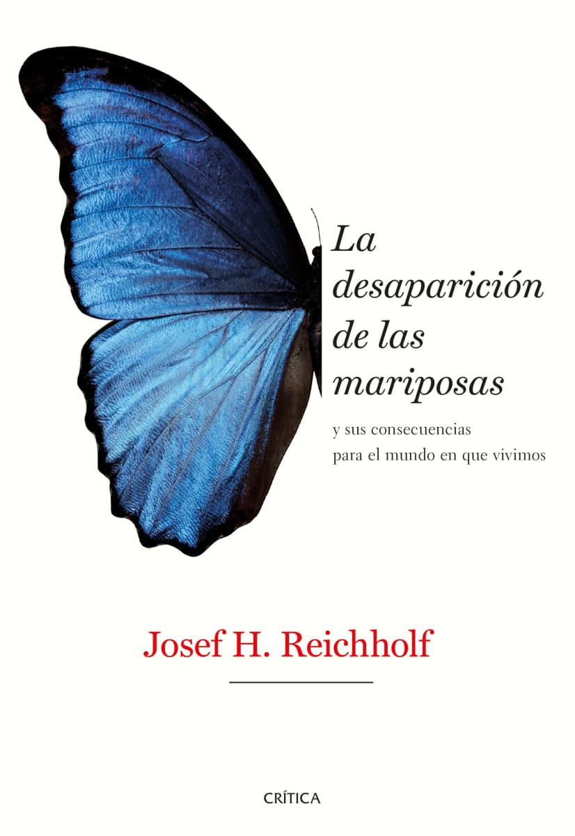 LA DESAPARICIÓN DE LAS MARIPOSAS1