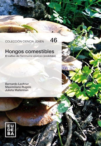 HONGOS COMESTIBLES CULTIVO DE FLAMMULINA1