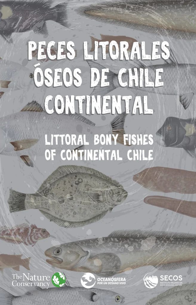 CARTILLA PECES LITORALES OSEO DE CHILE CONTINENTAL1