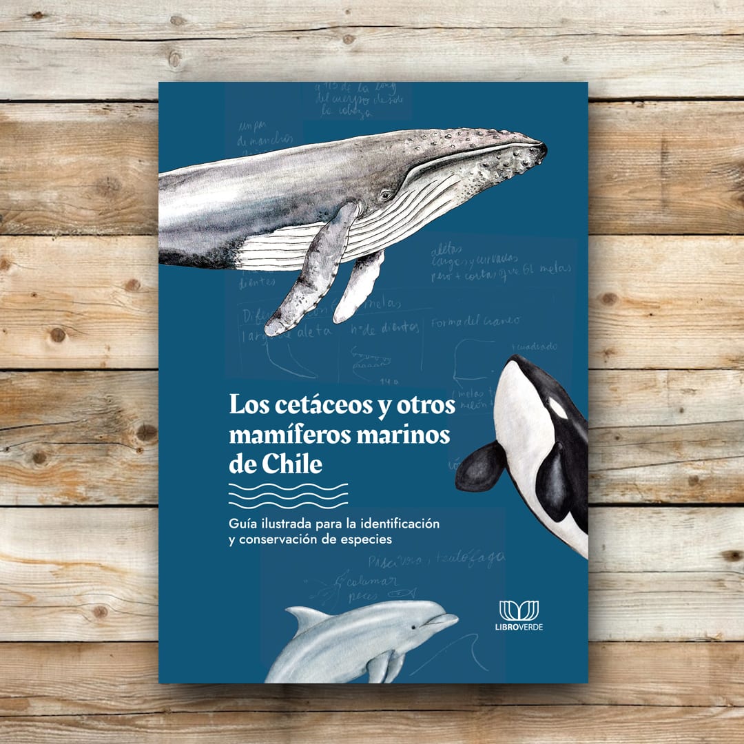 LOS CETÁCEOS Y OTROS MAMÍFEROS MARINOS DE CHILE1