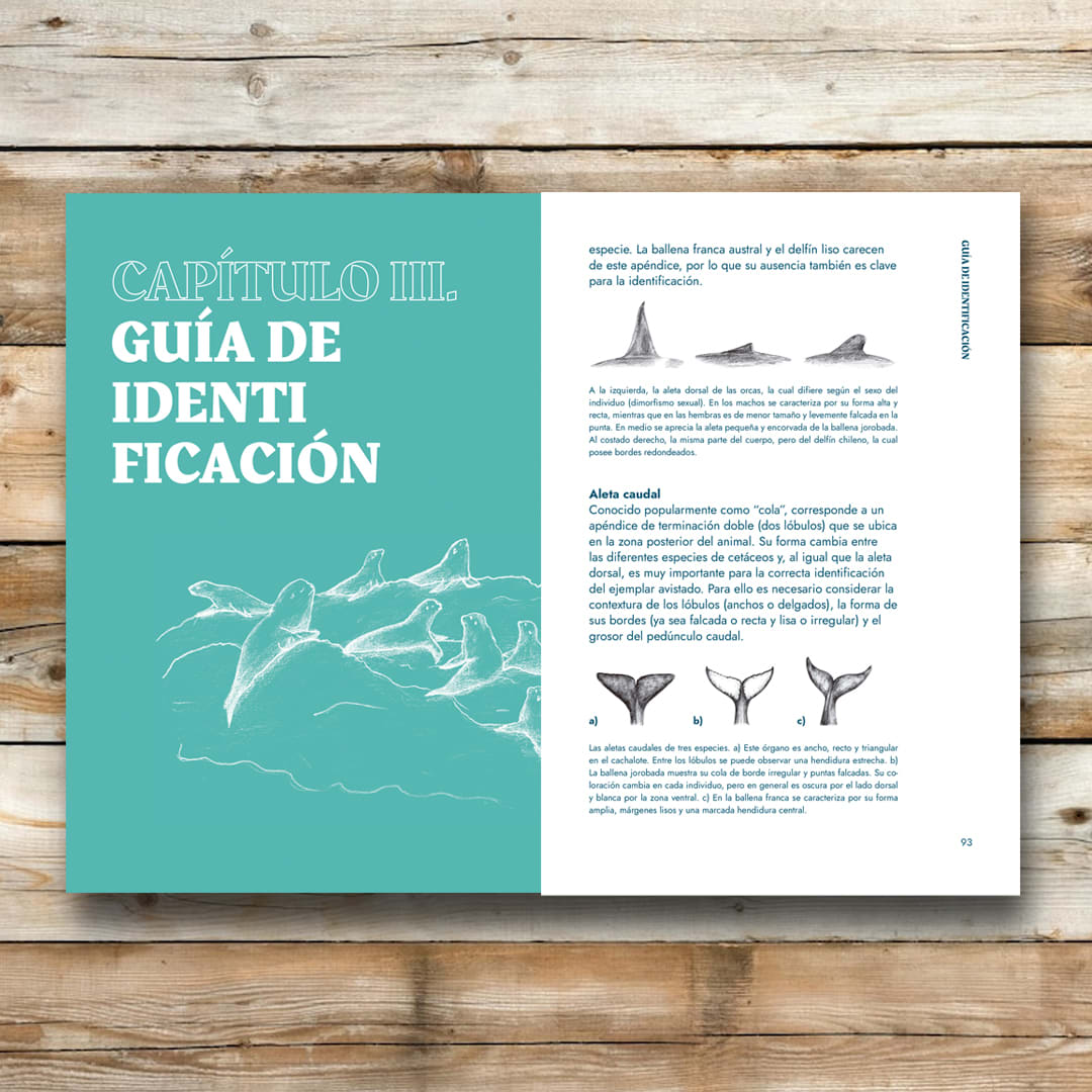 LOS CETÁCEOS Y OTROS MAMÍFEROS MARINOS DE CHILE2