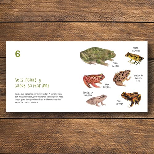 BIODIVERSOS (TD)2