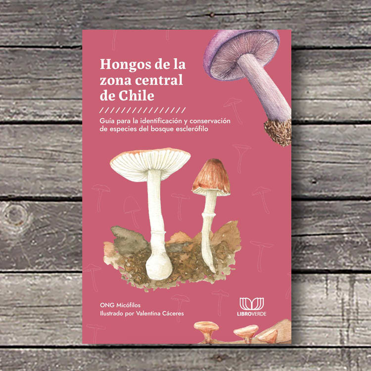 HONGOS DE LA ZONA CENTRAL DE CHILE5