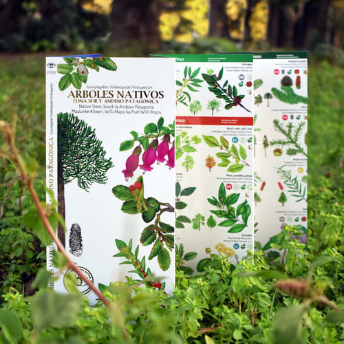 CARTILLA ARBOLES  NATIVOS ZONA SUR Y PATAGONIA1