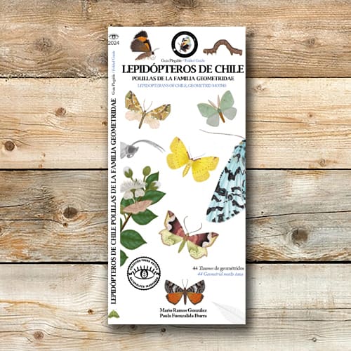 CARTILLA LEPIDÓPTEROS DE CHILE1