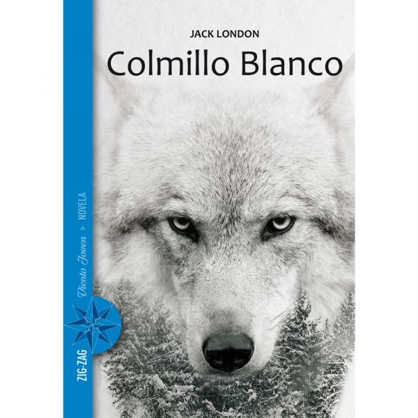 COLMILLO BLANCO 1