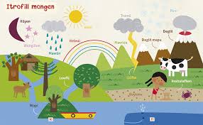 MI PRIMER DICCIONARIO DE MAPUDUNGUN / TAÑI WUNE CHILLKATUPEYUM RE MAPU2