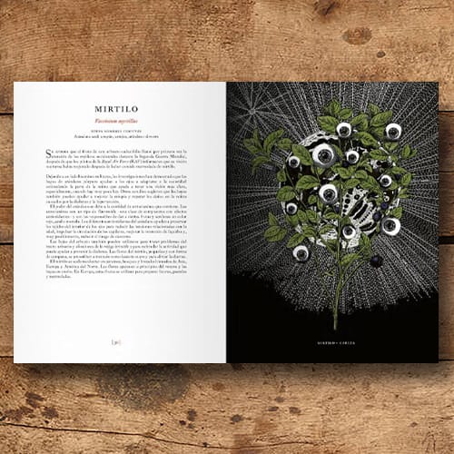 EL JARDÍN DE LAS PLANTAS MEDICINALES2