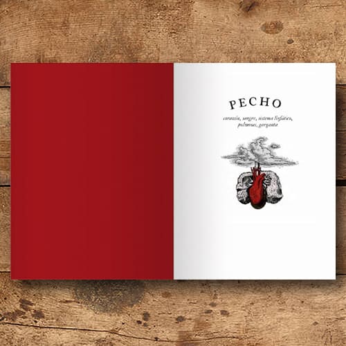 EL JARDÍN DE LAS PLANTAS MEDICINALES3