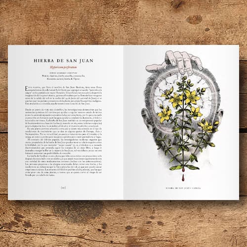 EL JARDÍN DE LAS PLANTAS MEDICINALES4