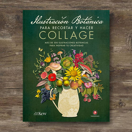 ILUSTRACIÓN BOTÁNICA PARA RECORTAR Y HACER COLLAGE1