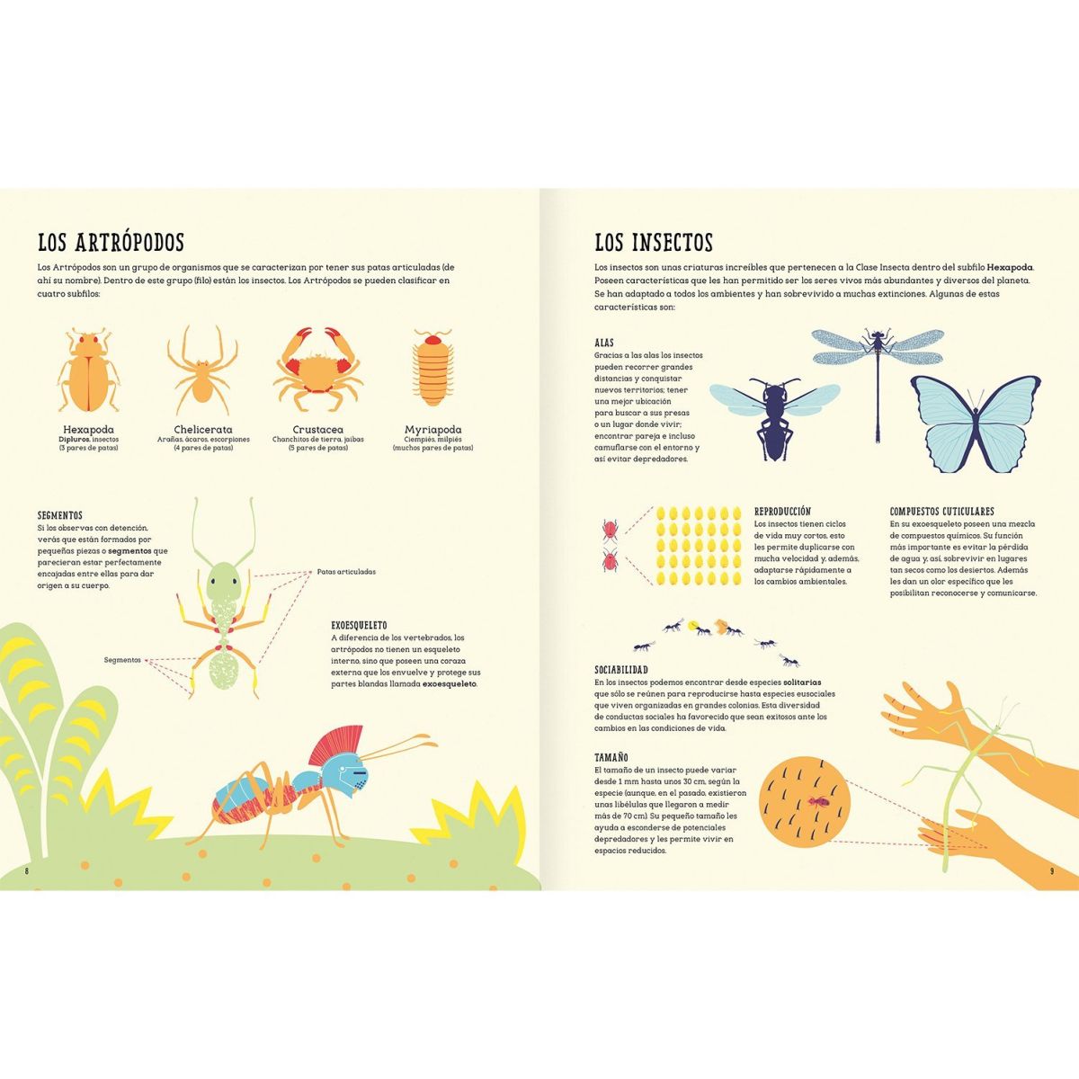 INSECTOPEDIA4