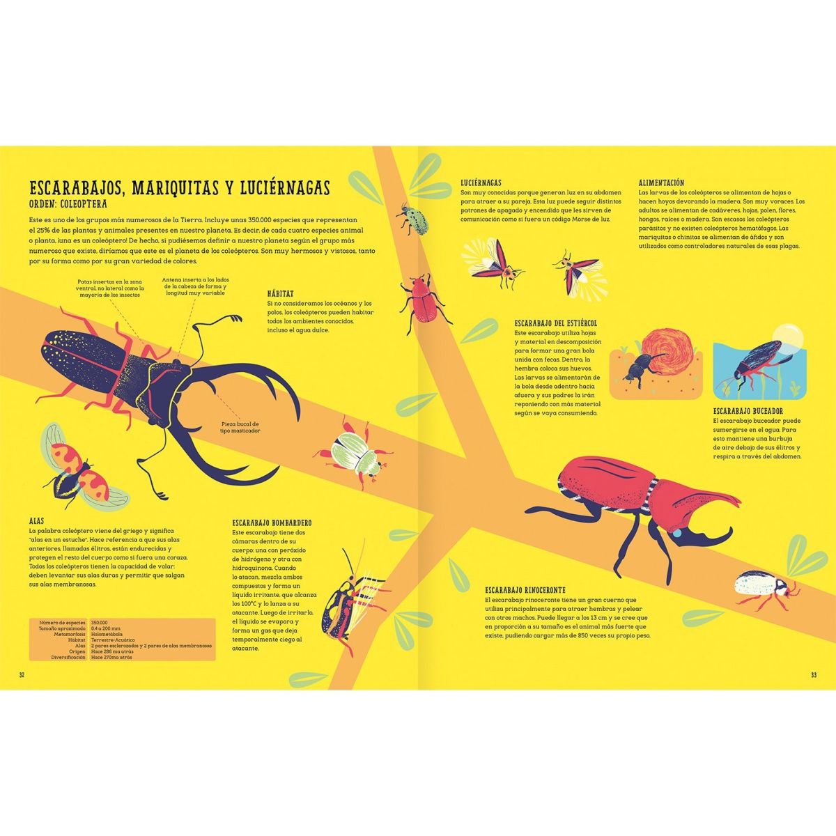 INSECTOPEDIA8