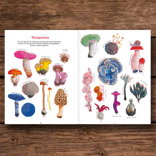 REINO FUNGI: MUNDO ENTRELAZADO2
